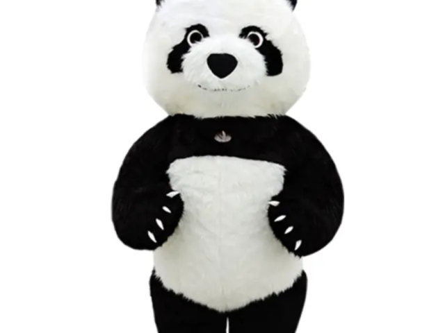 Panda Mascot Costume in Kenya